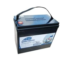 Energy Research 25.6V 100Ah Lithium Ion gilaus iškrovimo akumuliatorius