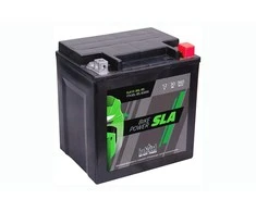 IntAct YTX30L-BS (MF) SLA 12V, 30Ah akumuliatorius
