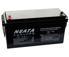 NEATA LFP24-100-1 25.6V 100Ah Lithium Ion akumuliatorius su Bluetooth