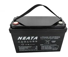NEATA LFP24050 25.6V 50Ah Lithium Ion akumuliatorius