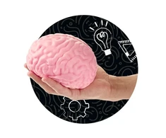 Minkomos antistresinės žaislinės smegenys TRENDHAUS XXL Squishy Super Brain