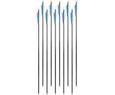 Aliuminės strėlės su įsukamais antgalias inSPORTline Aluson 30”, 10vnt, mėlynos-baltos