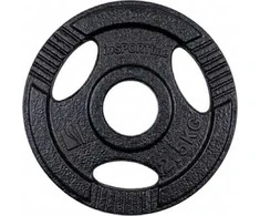 Cast Iron Olympic Weight Plate inSPORTline Hamerton Juodas 2.5kg, 50 mm