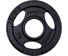Cast Iron Olympic Weight Plate inSPORTline Hamerton Juodas 1.25 kg, 50 mm