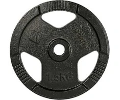 Cast Iron Weight Plate inSPORTline Hamerton Juodas 1.25 kg, 30 mm