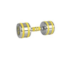 Chromuotas hantelis inSPORTline Yellsteel 9kg