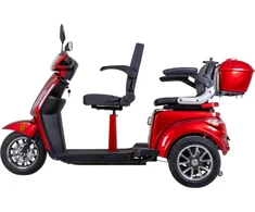 Dviejų asmenų triratis elektrinis paspirtukas inSPORTline Zorica Duo