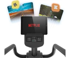 Dviratis inSPORTline ZenSeat 100