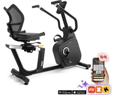 Dviratis inSPORTline ZenSeat 100