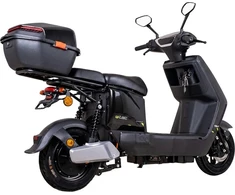 Electric Scooter W-TEC Raike II 10”