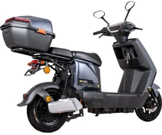 Electric Scooter W-TEC Raike II 10”