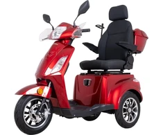 Elektrinis triratis vežimėlis inSPORTline Zorica Deluxe (rinkinio dalis)