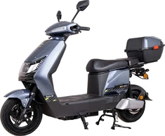 Elektrinis motoroleris W-TEC Raike II 10”