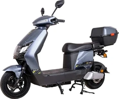 Elektrinis motoroleris W-TEC Raike II 10”