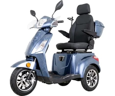 Elektrinis triratis vežimėlis inSPORTline Zorica Deluxe (rinkinio dalis)