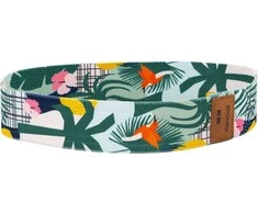 Vidutinė kūno rengybos juosta Spokey HOME JUNGLE