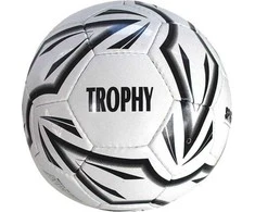 Futbolo kamuolys Spartan Throphy, sint. oda, 5 dydis