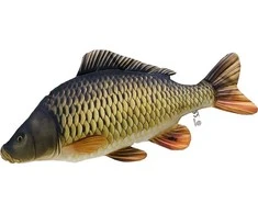 Energofish Gaby Pagalvėlė Paprastasis karpis