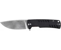 Ganzo Firebird Ganzo G769-BK folding knife