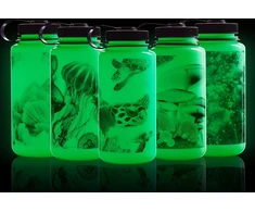 Nalgène Gertuvė „WM“, 1000 ml, Tritan™