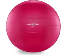 Gimnastikos kamuolys Anti-Burst 65 cm rožinis Marbo Sport