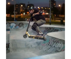 HS155 FLUORESCENT LION GOLD SCOOTER NILS EXTREME