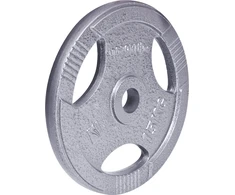 Plieninis svoris grifui 30mm inSPORTline Hamerton 15kg