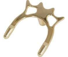 Lazdos atrama Buffalo Spider