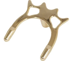 Lazdos atrama Buffalo Spider