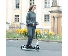 Paspirtukas inSPORTline Wayomint