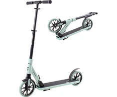 Motoroleris inSPORTline Wayomint