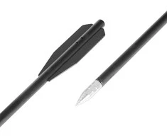 Plastic Arrows inSPORTline Dagson – 12 Pcs.