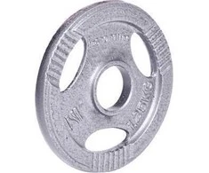 Plieninis svoris grifui 30mm inSPORTline Hamerton 1.25kg
