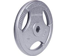 Plieninis svoris grifui 30mm inSPORTline Hamerton 25kg