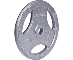 Plieninis svoris grifui 30mm inSPORTline Hamerton 20kg