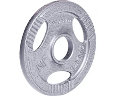 Plieninis svoris grifui 30mm inSPORTline Hamerton 1.25kg