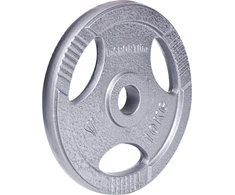 Plieninis svoris grifui 30mm inSPORTline Hamerton 10kg