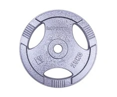 Plieninis svoris grifui 30mm inSPORTline Hamerton 25kg