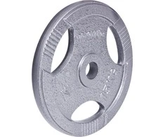 Plieninis svoris grifui 30mm inSPORTline Hamerton 15kg