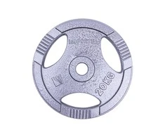 Plieninis svoris grifui 30mm inSPORTline Hamerton 20kg