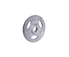 Plieninis svoris grifui 30mm inSPORTline Hamerton 5kg