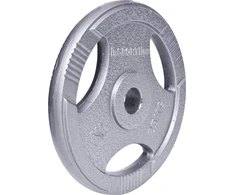 Plieninis svoris olimpiniam grifui 50mm inSPORTline Hamerton 25kg