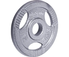 Plieninis svoris olimpiniam grifui 50mm inSPORTline Hamerton 5kg