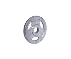 Plieninis svoris olimpiniam grifui 50mm inSPORTline Hamerton 5kg