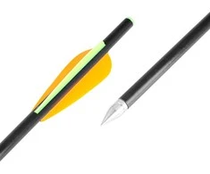 Stiklo pluošto strėlės inSPORTline Frankson 34cm, 10vnt.