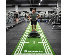 Synthetic Grass Mat inSPORTline Graspet 10.2 x 2 m