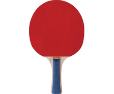 Stalo teniso lazdos Spokey TRAINING PRO