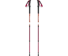 Treko lazdos inSPORTline Altiplano 100 Pair Raudona