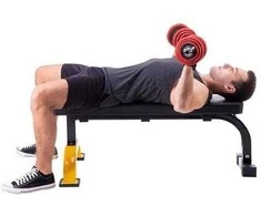 L8012 EXERCISE BENCH HMS PREMIUM
