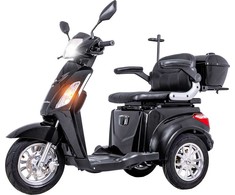 Trijų ratų elektrinis paspirtukas inSPORTline Zorica